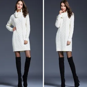 Long Sleeves High Neck Pure Color Long Sweater