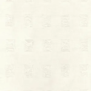 Vintage White Rectangle Texture Stretch Jacquard Mesh Fabric